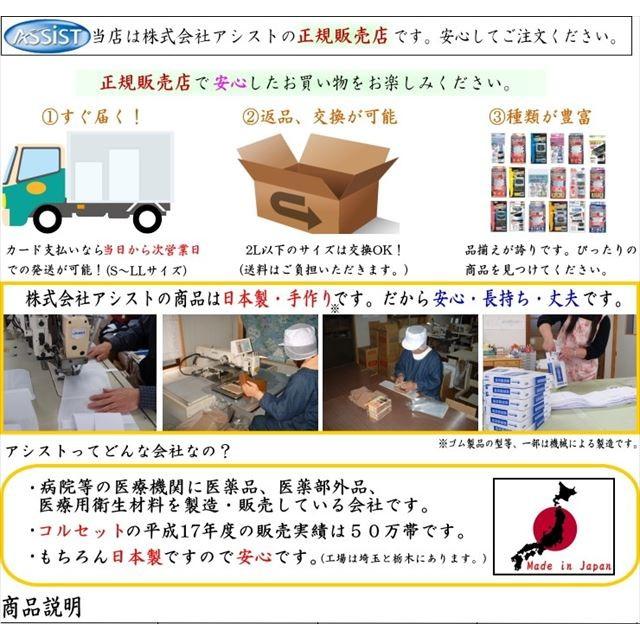 腰痛ベルト コルセット 腰痛サポートベルト サポーター プロガードライト メッシュ アルミステイ 骨盤ベルト 小〜 大きいサイズ 通気性 医療用 ぎっくり腰 | ASSiST | 02