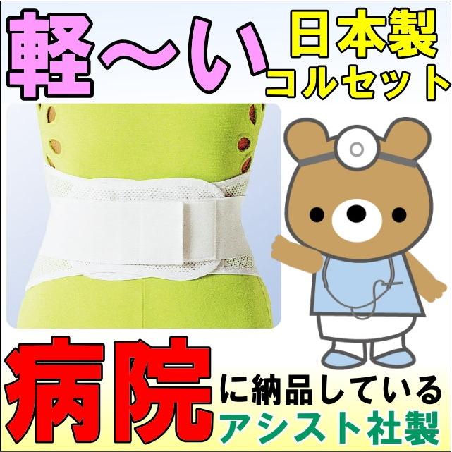 腰痛ベルト コルセット 腰痛サポートベルト サポーター フィットガード メッシュ 骨盤ベルト アシスト 小〜 大きいサイズ 通気性 医療用 ぎっくり腰 | ASSiST