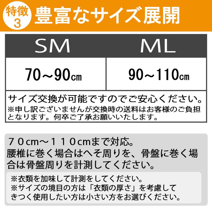 腰痛ベルト コルセット 腰痛サポートベルト サポーター フィットガード メッシュ 骨盤ベルト アシスト 小〜 大きいサイズ 通気性 医療用 ぎっくり腰 | ASSiST | 04