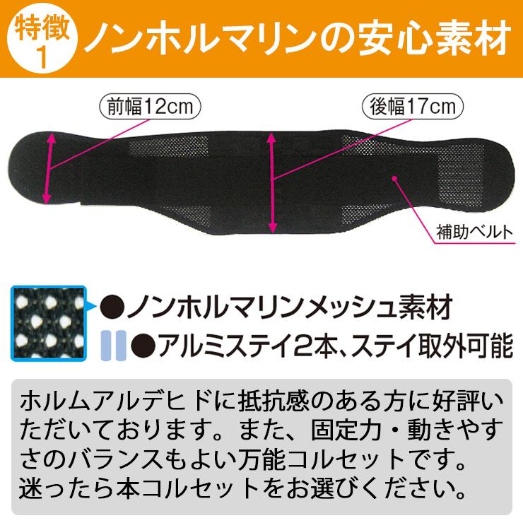 土日祝も当日発送 腰痛ベルト コルセット 腰痛サポートベルト サポーター プロフィット メッシュ 骨盤ベルト 小〜 大きいサイズ 通気性 医療用 ぎっくり腰 | ASSiST | 05