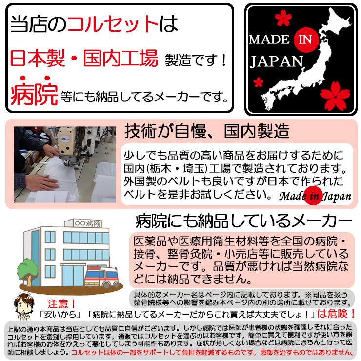 今日も当日発送 腰痛ベルト コルセット 腰痛サポートベルト サポーター プロフィット メッシュ 骨盤ベルト 小〜 大きいサイズ 医療用 ぎっくり腰 | ASSiST | 02