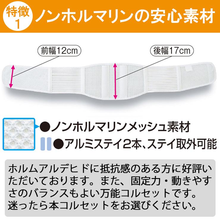 土日限定値引中 腰痛ベルト コルセット 腰痛サポートベルト サポーター プロスリム メッシュ 骨盤ベルト 小〜 大きいサイズ 通気性 医療用 ぎっくり腰 | ASSiST | 04