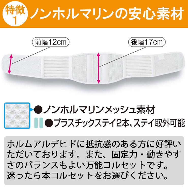 今日も当日発送 腰痛ベルト コルセット 腰痛サポートベルト サポーター プロスリム メッシュ 骨盤ベルト 小〜 大きいサイズ 通気性 医療用 ぎっくり腰 | ASSiST | 04
