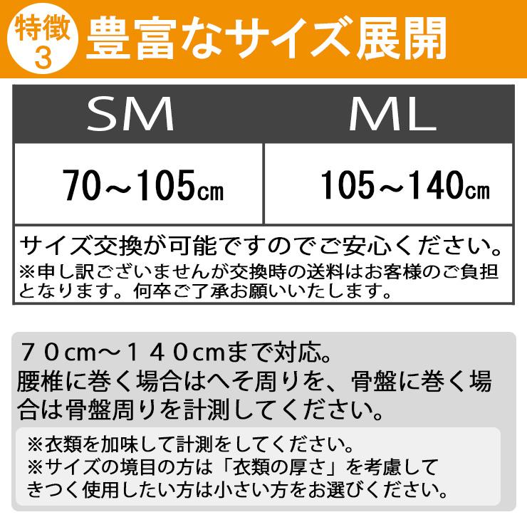 腰痛ベルト コルセット 腰痛サポートベルト サポーター エックスベルト 骨盤ベルト アシスト 小〜 大きいサイズ 医療用 ぎっくり腰 | ASSiST | 04