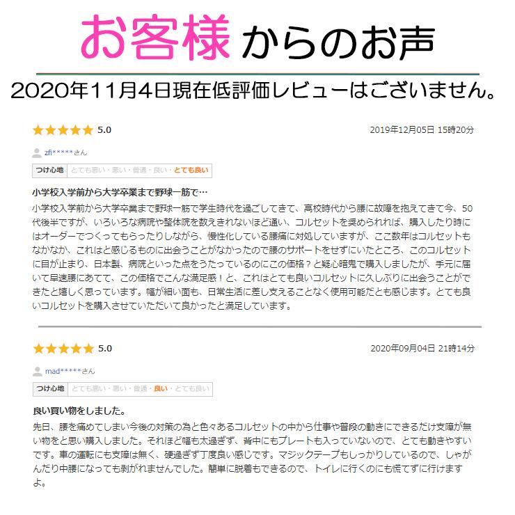 超Pay祭値引  腰痛ベルト コルセット 腰痛サポートベルト サポーター ツインベルト 骨盤ベルト アシスト 小〜 大きいサイズ 医療用 ぎっくり腰 | ASSiST | 08
