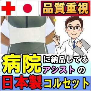 コルセット 腰痛サポートベルト 胸部 サポーター ライトバンド ハーフ 肋骨 あばら骨 矯正 締め バスト 胸 腹 アシスト 小〜 大きいサイズ 医療用 ぎっくり腰 | ASSiST