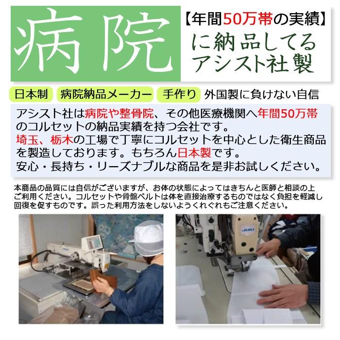 腰痛ベルト コルセット 腰痛サポートベルト サポーター ハードデラックス メッシュ 骨盤ベルト アシスト 小 〜 大きいサイズ 涼しい 医療用 ぎっくり腰 | ASSiST | 01