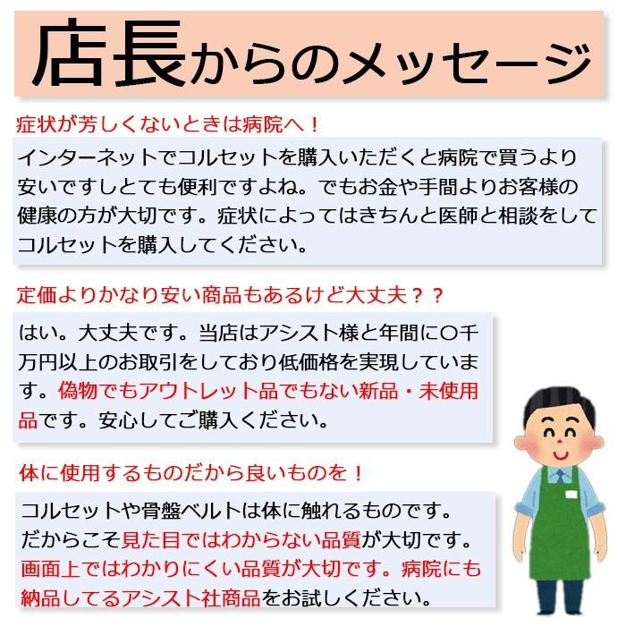 今日も当日発送 腰痛ベルト コルセット 腰痛サポートベルト サポーター ハードデラックス メッシュ 骨盤ベルト 小〜 大きいサイズ 涼しい 医療用 ぎっくり腰 | ASSiST | 06