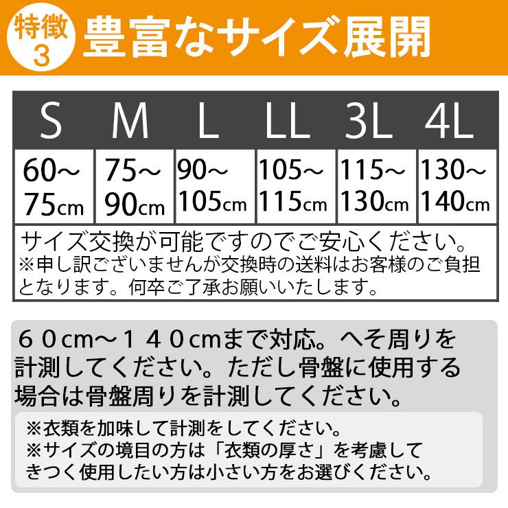 土日祝も当日発送 腰痛ベルト コルセット 腰痛サポートベルト サポーター ガード メッシュA 骨盤ベルト アシスト 小〜 大きいサイズ 涼しい 医療用 ぎっくり腰 | ASSiST | 05