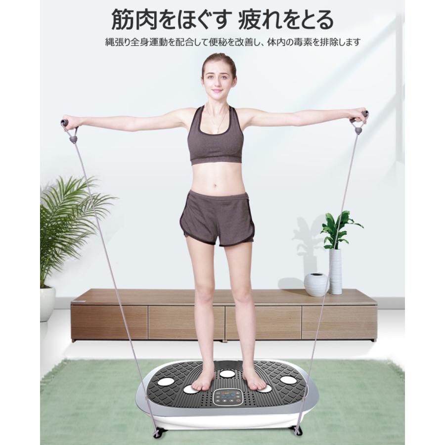 驚きの値段で マシン ぶるぶる 下半身 器具 ダイエット 知能痩身マシン振動マシン ブルブル 運動器具 室内 ダイエット器具 フィットネス お腹周り シェイカー式 ダイエット器具 Sepcon Net