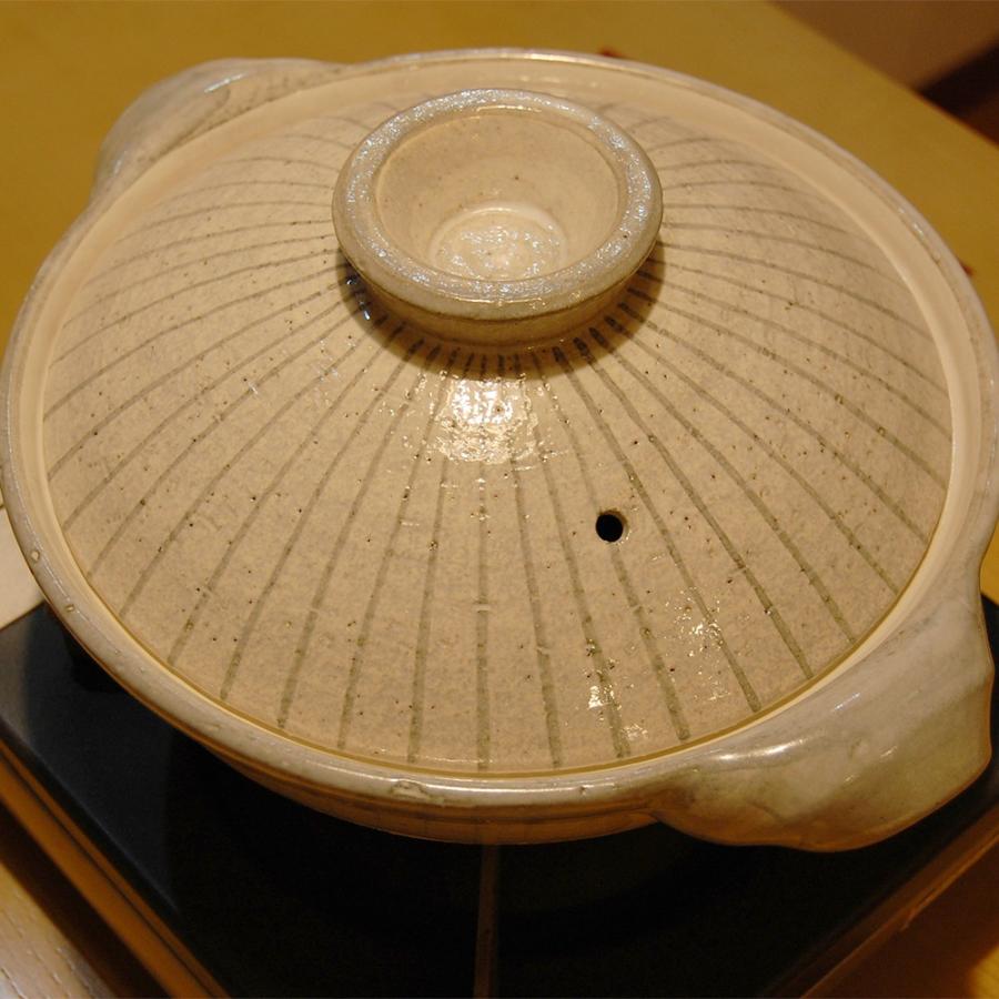 長谷園 伊賀土鍋 利休十草 大 3 5人用 Nnr 03 母の日 おしゃれ 結婚祝 還暦祝 長寿祝 誕生日プレゼント 送料無料 日本の職人技