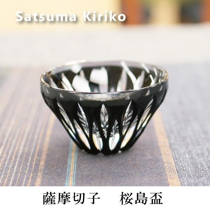 ラジコン エンジン飛行機用 メカ プロポ 受信機 サーボ 始動用具 一式