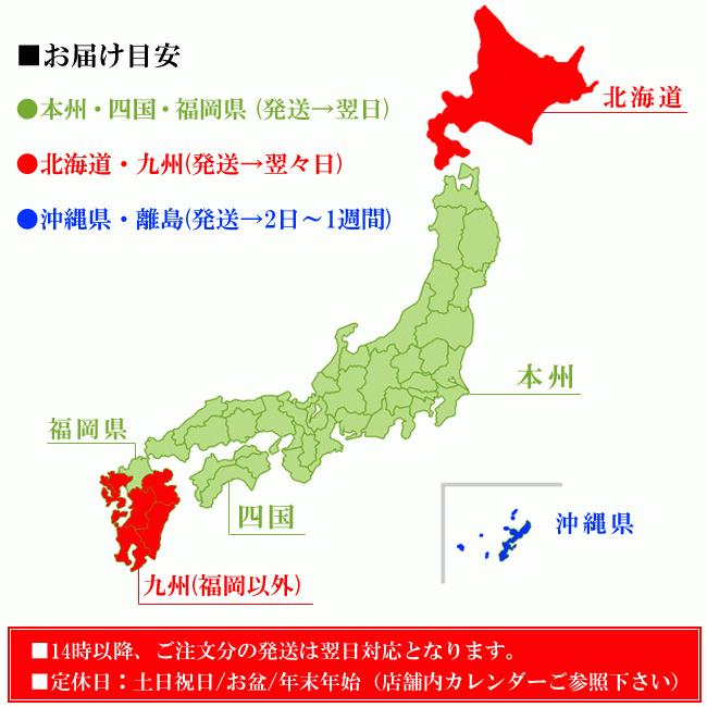 マグカップ おしゃれ 食器 九谷焼 山茶花 陶器 ブランド 誕生日プレゼント ギフト｜waza｜08