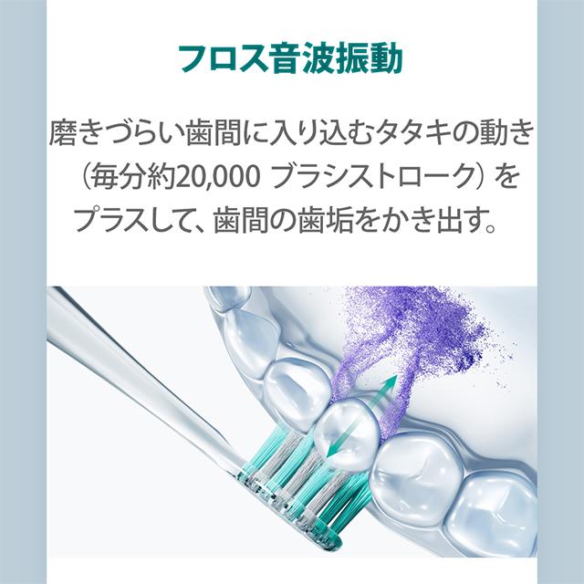 Doltz 【パナソニック正規品】【在庫有】ドルツプレミアム W音波振動