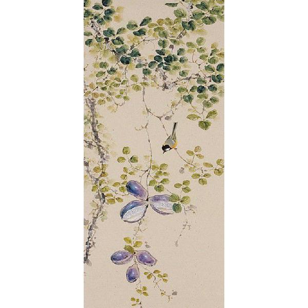 掛け軸専門店 掛軸 通販 あけび（奥田 吟水） 花鳥画 秋用掛軸 日本画