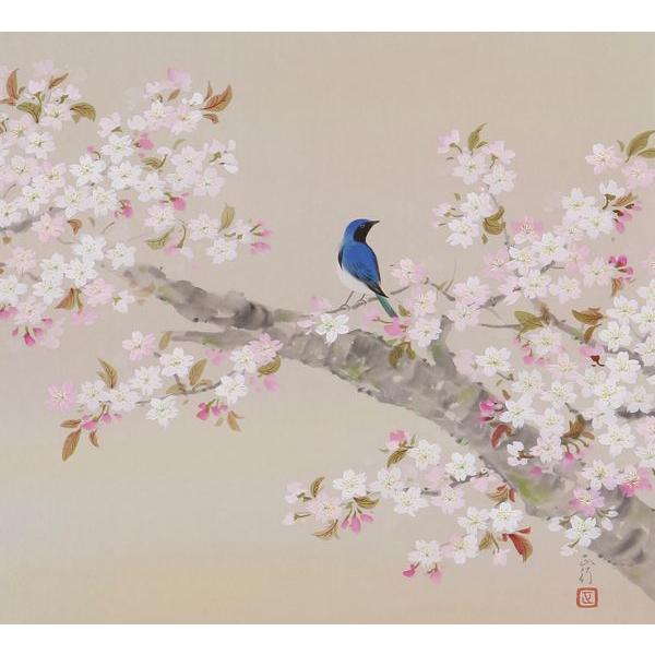 掛け軸 掛軸 掛け軸販売 桜に小鳥 川島 正行 掛け軸用品3点セット付き