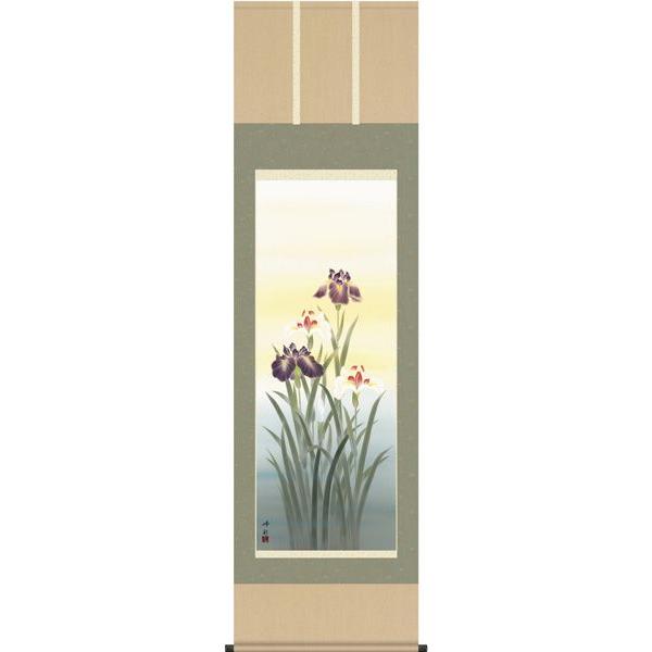 掛け軸 掛軸 掛け軸販売 モダン　菖蒲 園田　峰彩 夏の掛け軸 掛軸 掛け軸販売 掛け軸用品３点セット付き　床の間に合う掛け軸