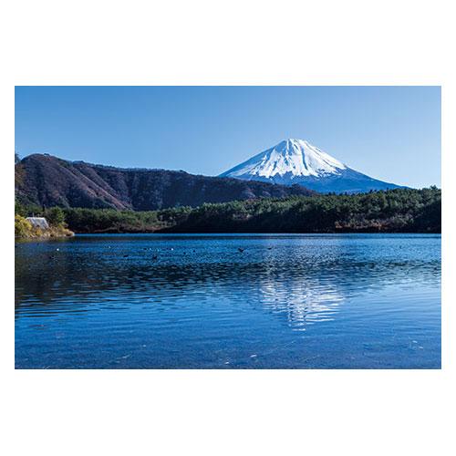 富士山ポストカード 西湖から富士山を望む (YN-004) 当店オリジナル