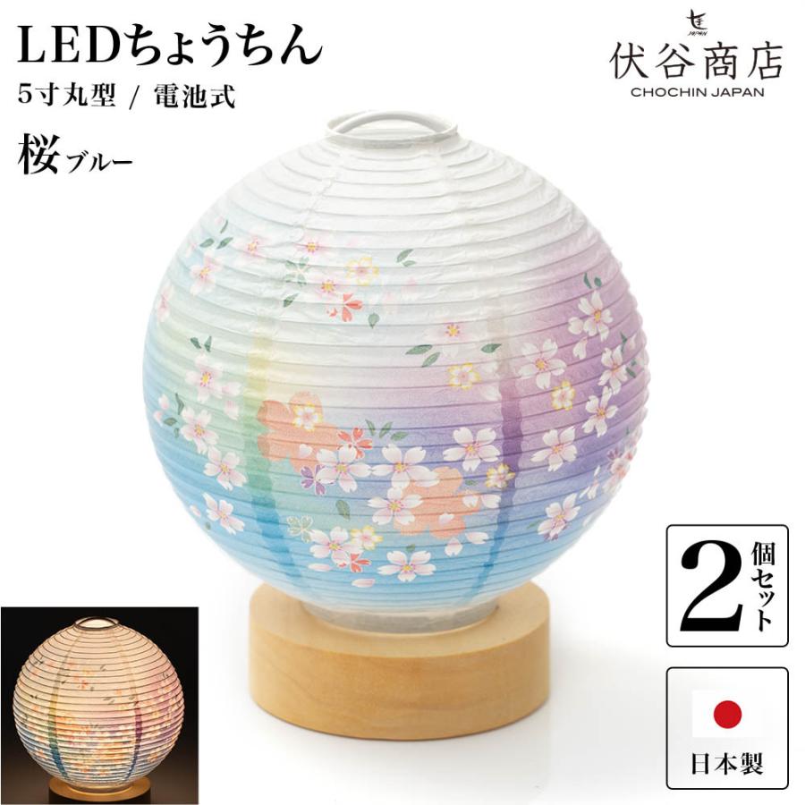 大粒 天然虫入り琥珀 アンバー 夏休み 自由研究 化石 恐竜 【公式通販】