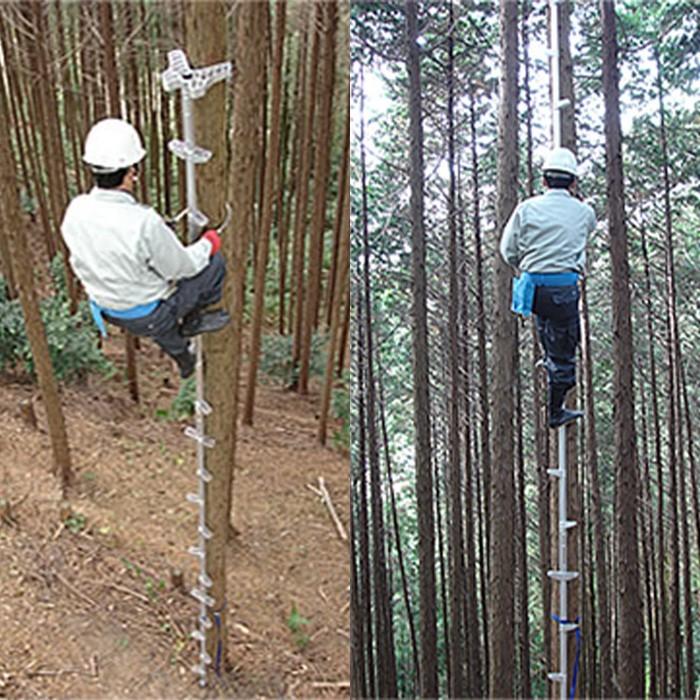 枝打ちはしご ロッキーラダー２EX 特別仕様 木登り器 巴化成｜wb-tokutoku｜06