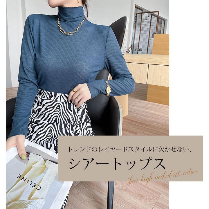 シアートップス ハイネック インナー 長袖 秋 冬 メール便送料