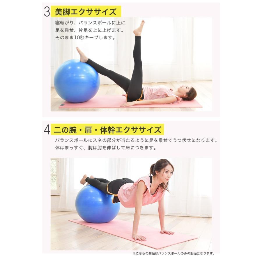 バランスボール 55cm 65cm 75cm フットポンプ付き 空気入れ 耐荷重250kg ノンバースト Balanceball ワイルドクラス 通販 Yahoo ショッピング