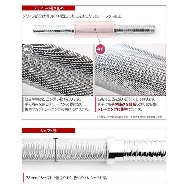 ラバー付きダンベル 片手20kg×2セット 合計40kg 両手用 : ワイルド