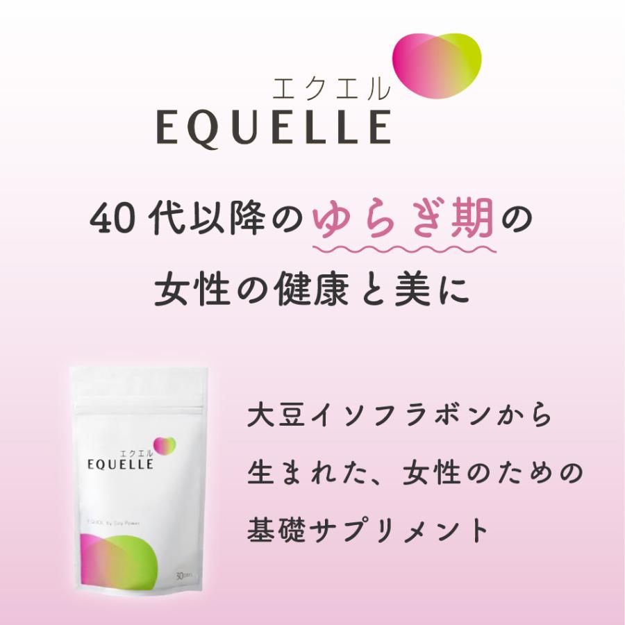 正規通販 エクエル パウチ 120粒 1袋 大塚製薬 エクオール :100000000102:W LIFESTYLE SHOP - 通販