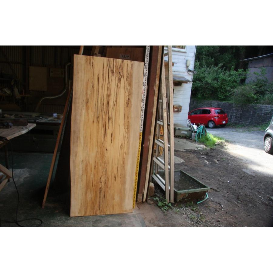 エノキ（榎）、テーブル天板、ローテーブル天板、座卓天板、無垢材、一