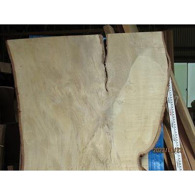 エノキ、テーブル天板、無垢材、天然木、一枚板、 : Wood 出雲 - 通販 