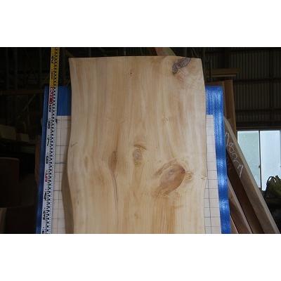 今年の新作から定番まで！今年の新作から定番まで！イチョウ（銀杏