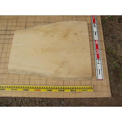 イチョウ(銀杏)ローテーブル天板、座卓天板、看板、DIY、無垢 イチョウ(銀杏)ローテーブル天板、座卓天板、看板、DIY、無垢