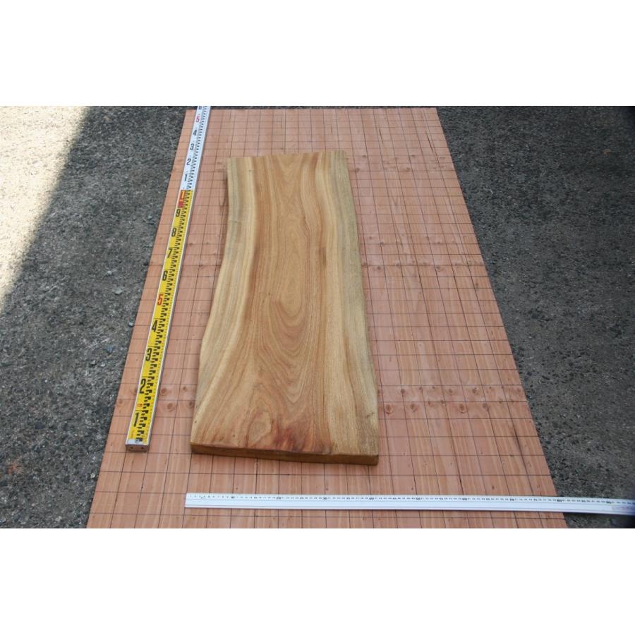 クスノキ（楠）、カウンター天板、看板、天然木、無垢材、一枚板、 :KS 