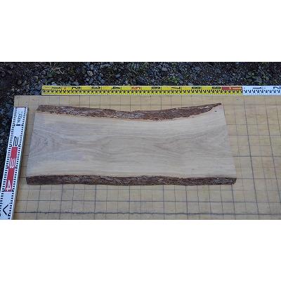 むくのき天板　松　一枚板　無垢板　テーブル　カウンター　木材 松無垢一枚板 - 一枚板テーブル・カウンターなら銘木展示販売場｜人見
