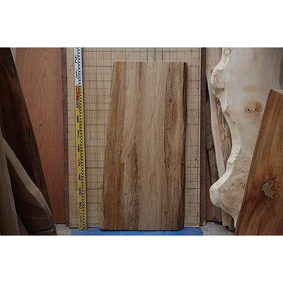 椎木（しいのき）、テーブル天板、カウンター天板、座卓天板、無垢材