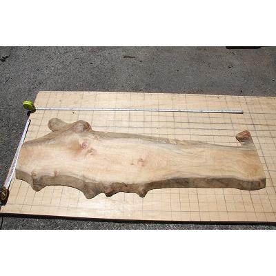 椨（たぶ）、看板、?IY、無垢材、天然木、一枚板、 : Wood 出雲 - 通販 - Yahoo!ショッピング