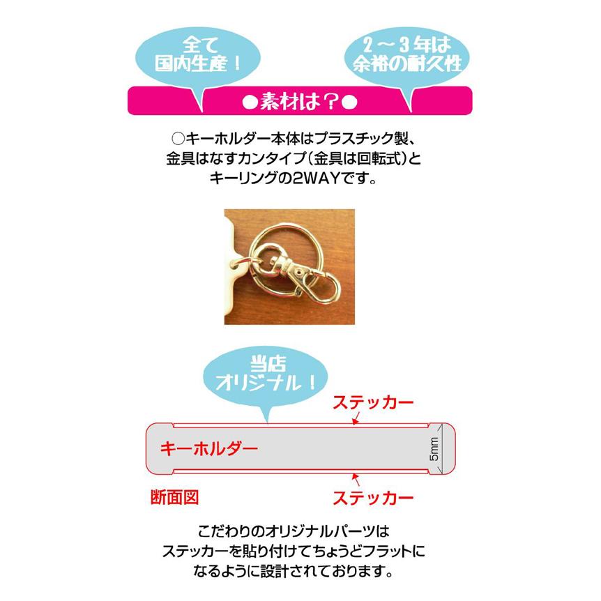 Asexual アセクシュアル エイセクシュアル 無性愛 キーホルダー カラーは2色 ジェンダーシリーズ Lgbtq フラッグ Ksk474 応援 支援 Gs グッズ K Sk474 ゼネラルステッカー 通販 Yahoo ショッピング