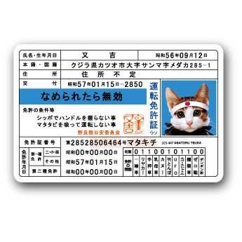 なめ猫 キャラクターステッカー 免許証 LCS447 懐かし 80年代 なめ猫 キャラクターステッカー 免許証 LCS447 懐かし 80年代