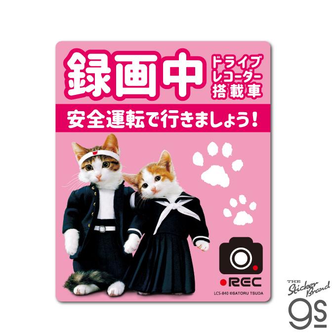 なめ猫 ドライブレコーダー ステッカー ピンク 録画中 なめんなよ