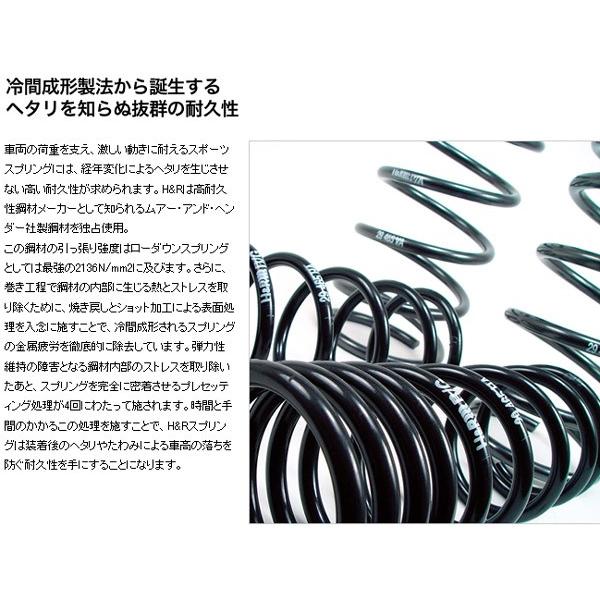 H\u0026R ダウンサス フォード マスタング クーペ 2004〜 ford 送料無料の画像