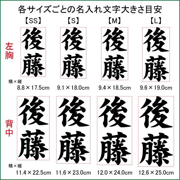 MIZUNO（ミズノ） 名前入り 練習着 野球 ユニフォーム 昇華プリント