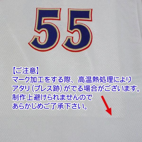 MIZUNO（ミズノ） 名前入り 練習着 野球 ユニフォーム 昇華プリント