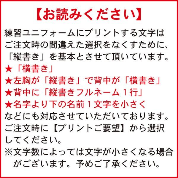 MIZUNO（ミズノ） 名前入り 練習着 野球 ユニフォーム 昇華プリント