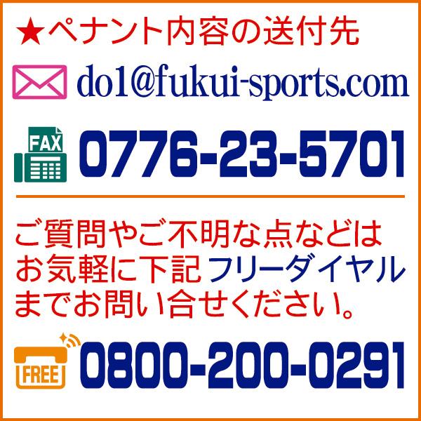 優勝旗 カップ トロフィー用 文字入れオーダーペナント 85cm 特大 両面インクジェットプリント 291sp 0 291sp 0 Web Sports Do 福井スポーツ 通販 Yahoo ショッピング