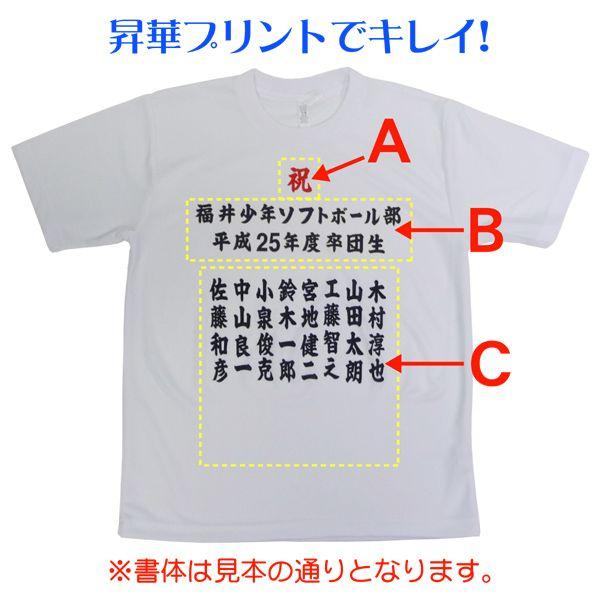 オリジナル記念Ｔシャツ (ホワイト)　291sp-021｜web-sports-do｜02