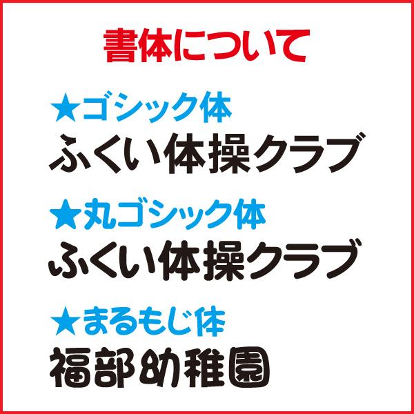 TOEI LIGHT トーエイライト カラートンネルセット B-3801-S【送料別商品】【名入れ無料】の画像