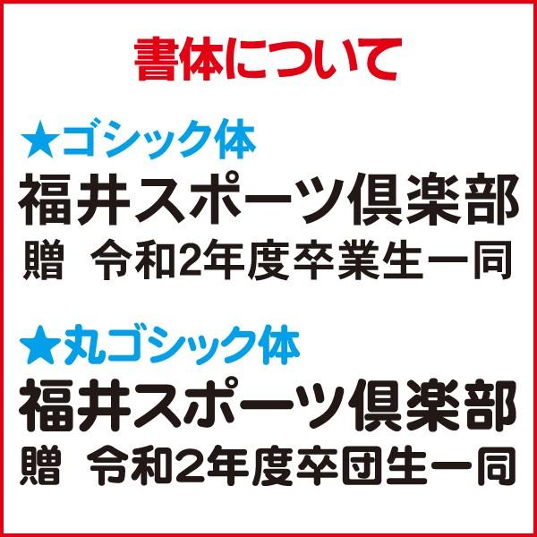 EVERNEW（エバニュー） 野球用スコアボード折りたたみS（名入れ可能