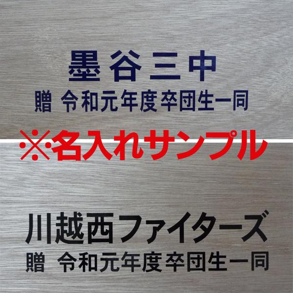 EVERNEW（エバニュー） 野球用スコアボード折りたたみS（名入れ可能