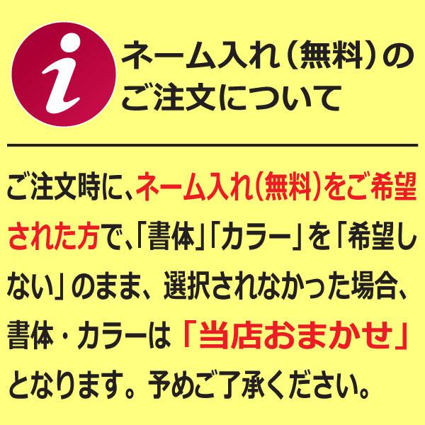 EVERNEW（エバニュー） 野球用スコアボード折りたたみS（名入れ可能