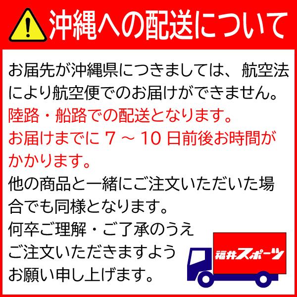 超特価　ソフトボール2号練習球 (スリケン・検定落ち・ナイガイ製) 2ダース (24球入り)　Training-soft2-24｜web-sports-do｜04